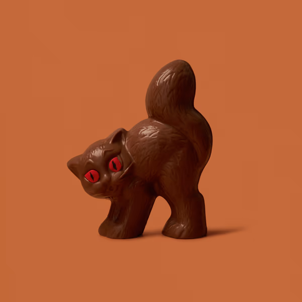 Scaredy Cat