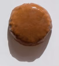 Milk Chocolate Coated Choc Chip Shortbread Biscuits 100g