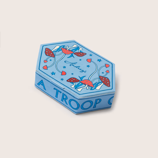 A Troop of Toadstools