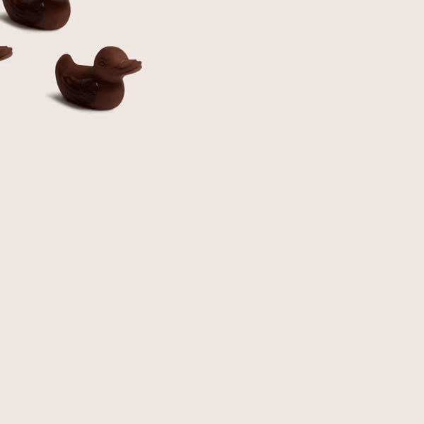 A Waddle of Ducklings