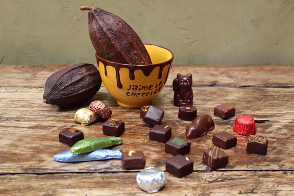 Artisan Chocolate Selection
