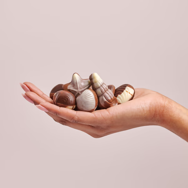 Belgian Seashell Chocolates 500g